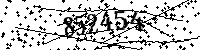 Por favor, escriba las letras y los números siguientes