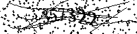 Por favor, escriba las letras y los números siguientes