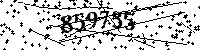 Por favor, escriba las letras y los números siguientes