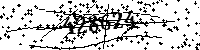 Por favor, escriba las letras y los números siguientes