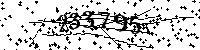 Por favor, escriba las letras y los números siguientes