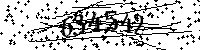 Por favor, escriba las letras y los números siguientes