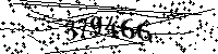 Por favor, escriba las letras y los números siguientes